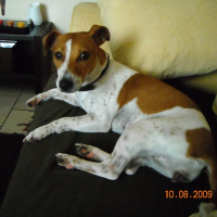 Photo de profil de Dina
