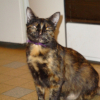 Photo de Poussy
