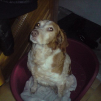 Photo de profil de Sally