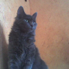 Photo de Athena