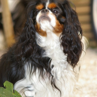 Photo de profil de Bianca