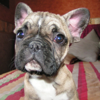 Photo de profil de Lucette