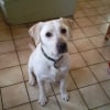 Photo de Praline