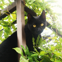 Photo de profil de Calin