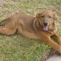 Photo de profil de Maya