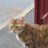 Photo de Lola