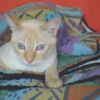 Photo de profil de Kimy