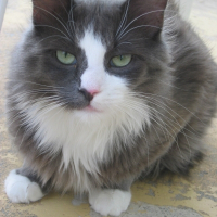 Photo de profil de Myckette