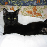 Photo de profil de Bouba