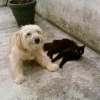 Photo de Raphy