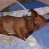 Photo de Calin