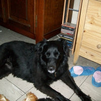 Photo de profil de Ilowa