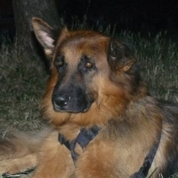 Photo de profil de R'gé