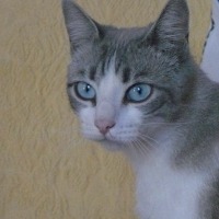 Photo de profil de Sacha