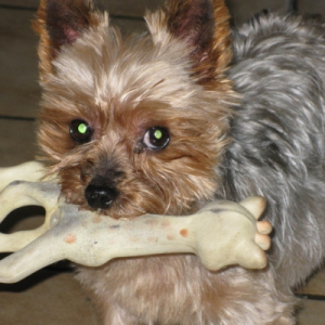Photo de profil de Maiina