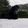 Photo de Teddy
