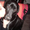 Photo de Dasco