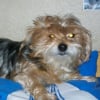 Photo de Merybel