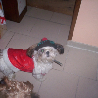 Photo de profil de Daisy