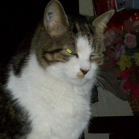 Photo de profil de Eitima