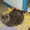 Photo de Moka