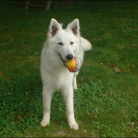 Photo de profil de Cooper