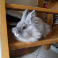 Photo de profil de Sukie