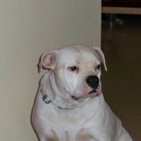 Photo de profil de Biscotte