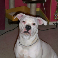 Photo de profil de Divine