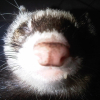 Photo de Georges