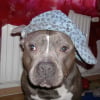 Photo de Apache
