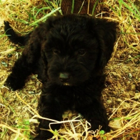 Photo de profil de Pierrot