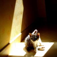 Photo de profil de Easy