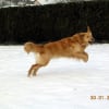 Photo de Relka