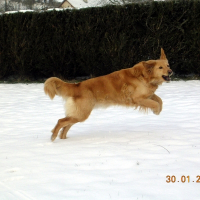 Photo de profil de Relka