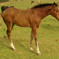 Photo de profil de Vegan