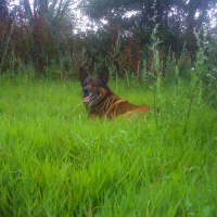 Photo de profil de Murphy