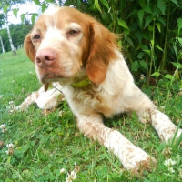 Photo de profil de Nala