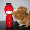 Photo de Pumba