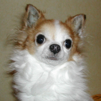Photo de profil de Siki