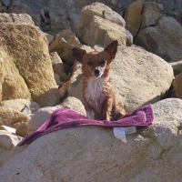 Photo de profil de Léa
