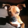 Photo de Lucien