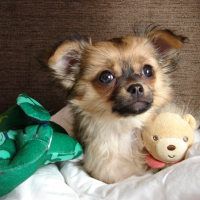 Photo de profil de Elya