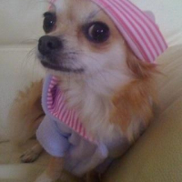 Photo de profil de Abby