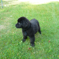 Photo de profil de Einstein