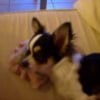 Photo de Elio