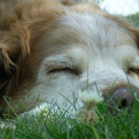 Photo de profil de Lady