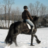 Photo de Astre de launay