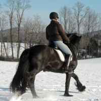 Photo de profil de Astre de launay