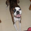 Photo de Vrenzo